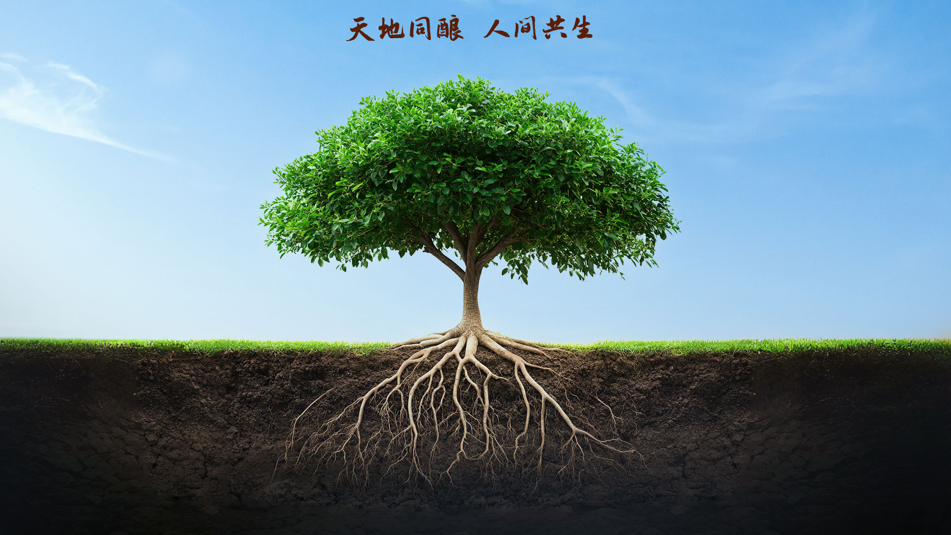 必赢·网络游戏平台-(中国游)有限公司
