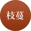 three1 必赢·网络游戏平台-(中国游)有限公司