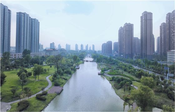 资讯动态_壹定发